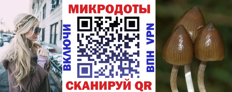 Купить закладки  Назарово  Галлюциногенные грибы Psilocybe 